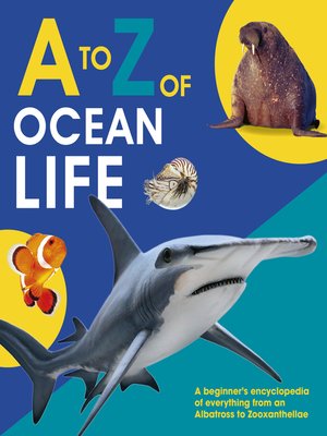 cover image of A to Z of Ocean Life